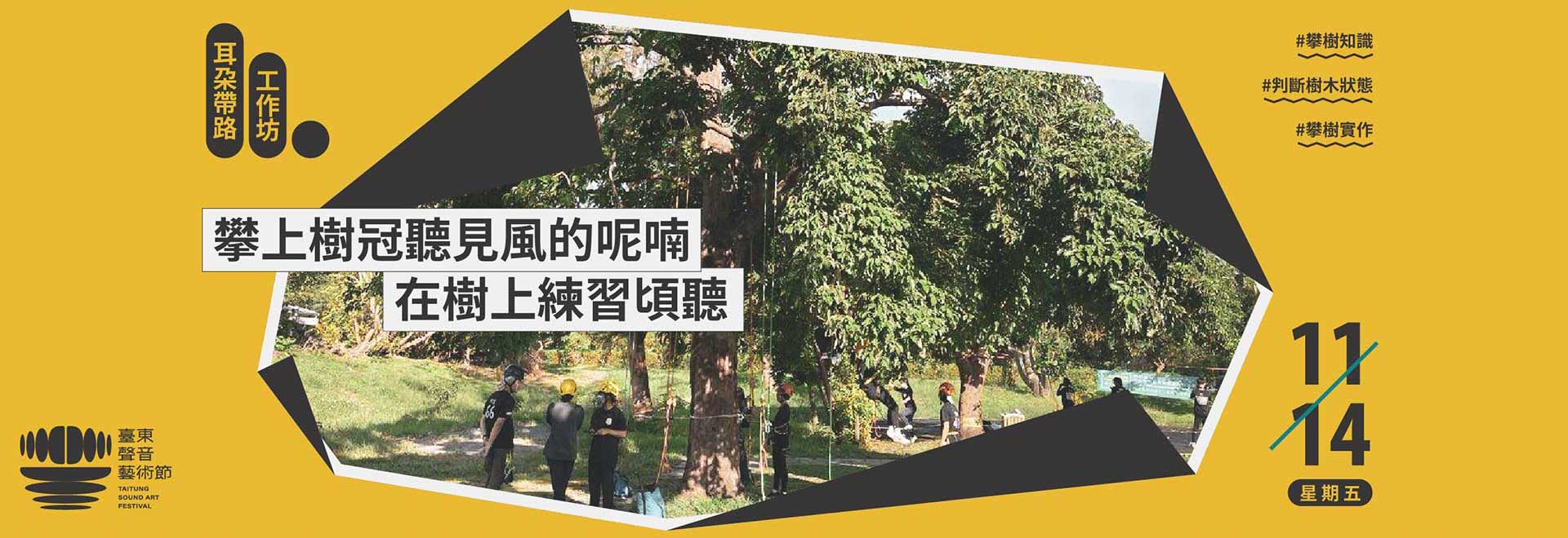 耳朵帶路：攀上樹冠聽見風的呢喃＿在樹上練習頃聽